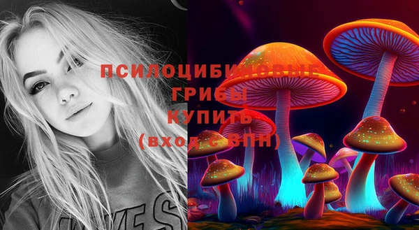 дживик Рославль