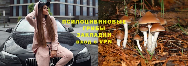 не бодяженный Белокуриха